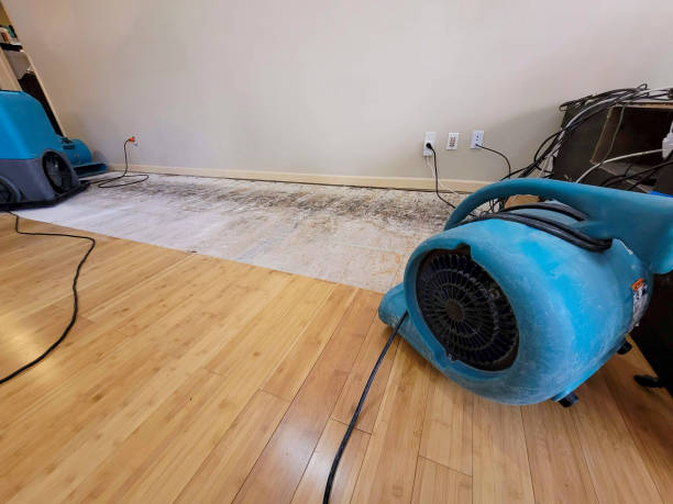 Professional Sewage Cleanup technician working in Merrill, MI